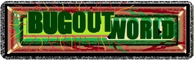 BUGOUT World